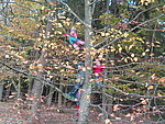 Logo Herbstwanderung mit den Gartenzwergen