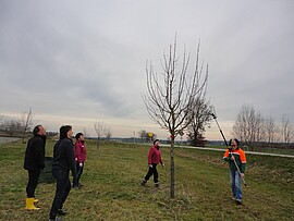 Banner Arbeitseinsatz an der Streuobstwiese